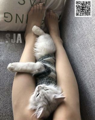 在线看片wwwzzz_BD英语免费观看